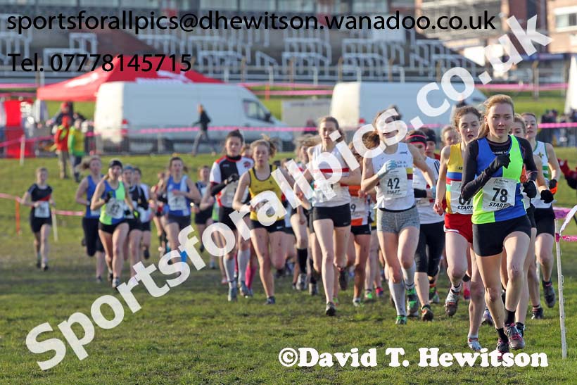 Junior womens Northern Cross Country  Championships, Pontefract. Photo: David T. Hewitson/Sports for All Pics